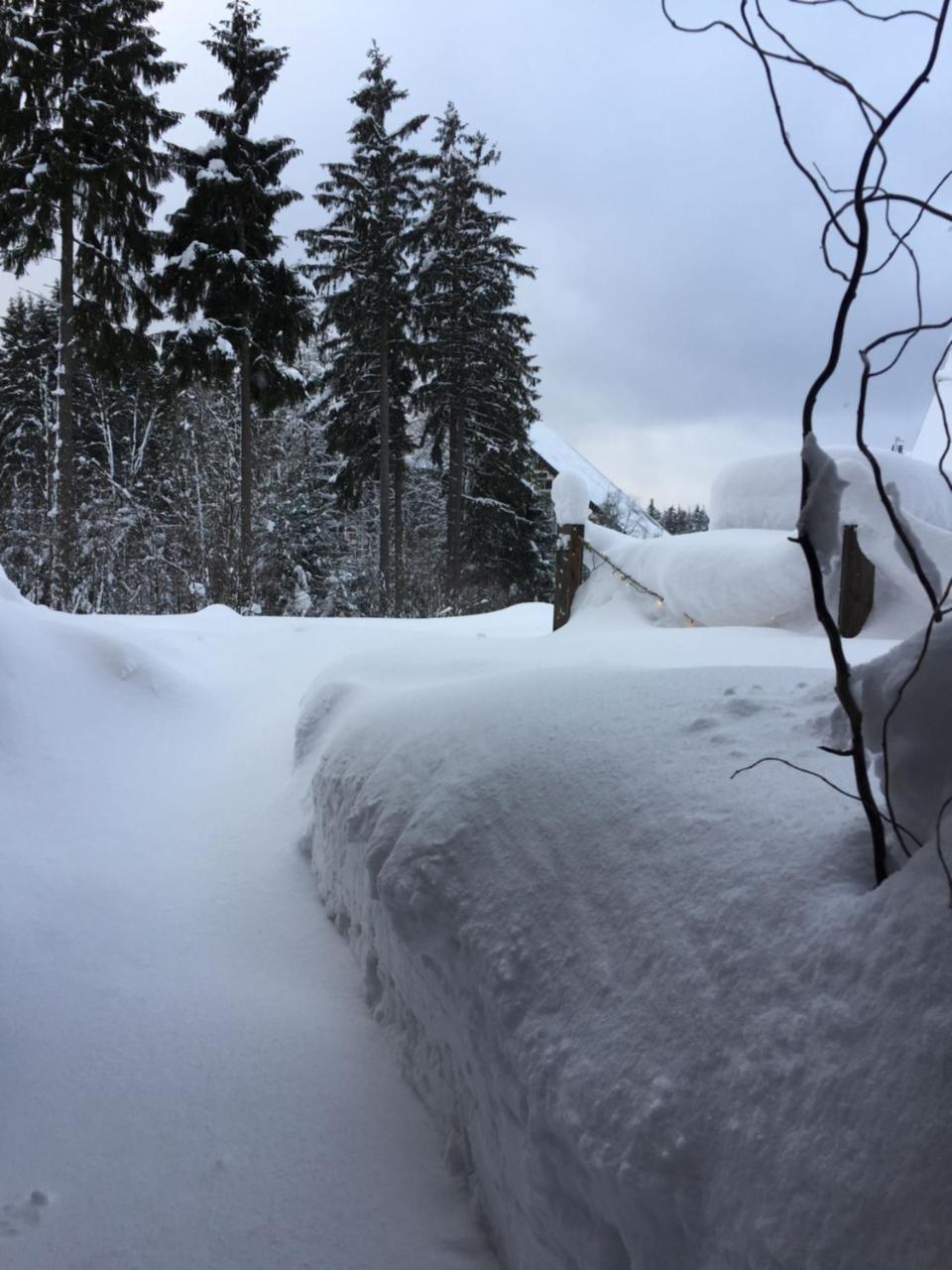 Ht Chalets Харачов Екстериор снимка